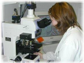 Cica Biomedical Ltd - Wound Healing Research