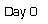 Text Box: Day 0